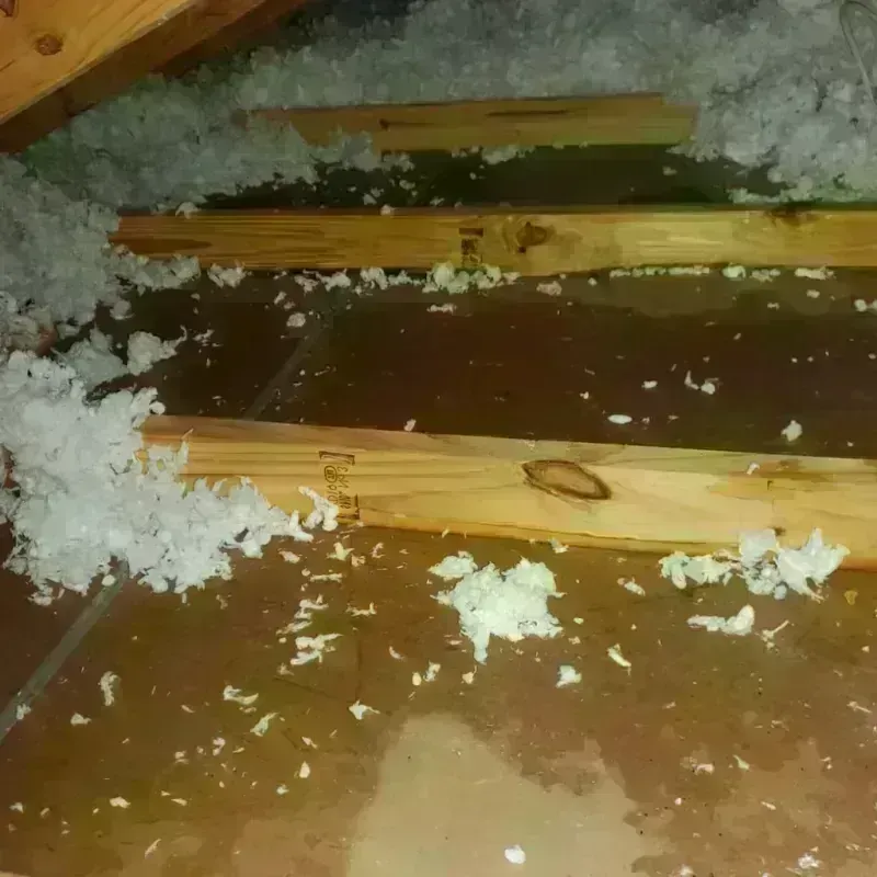 Attic Water Damage in Trenton, NE